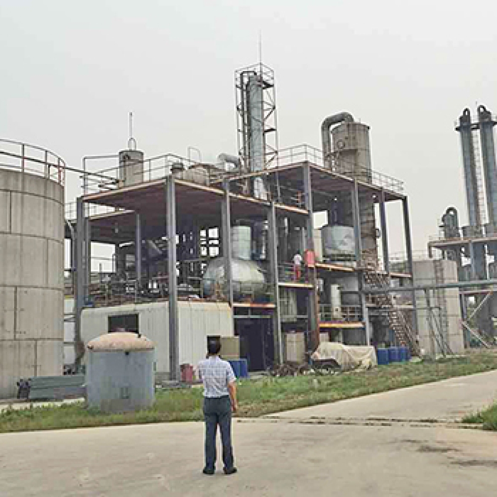 Dioctyl terephthalate DOTP